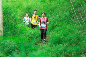 BIB: 
                            <button type="button" onclick="openModal(22091852)" class="btn btn-primary btn-sm float-right btn-popup" data-toggle="modal" data-target=".modal-high-quality">
                        <i class="fas fa-shopping-cart"></i> Add to Cart
                    </button>
                                            <button type="button" onclick="isThisMe(22091852, true)" class="btn btn-success btn-sm float-right btn-popup btn-isme hidden" data-toggle="tooltip" data-placement="bottom" title="นี่คือรูปของคุณใช่ไหม คลิกที่นี่เพื่อเอาเข้าอัลบั้ม">
                        <i class="fas fa-plus"></i> Add to album
                    </button>
                    <button type="button" onclick="isThisMe(22091852, false)" class="btn btn-warning btn-sm float-right btn-popup btn-isnotme hidden">
                        <i class="fas fa-ban"></i> Remove from album
                    </button>